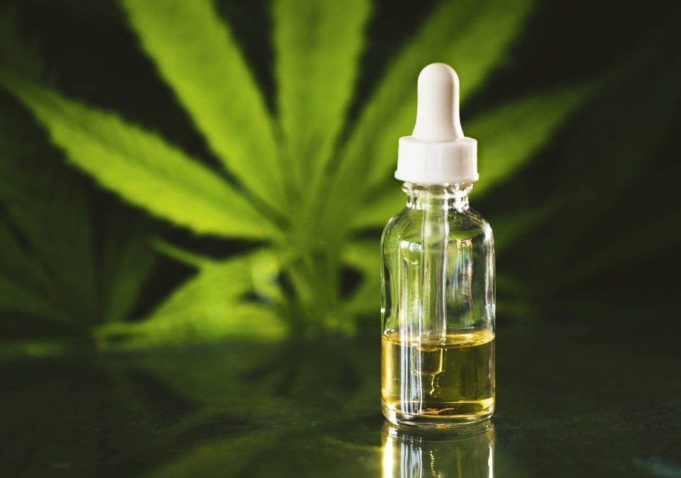Is Cannabis Oil Good For You?